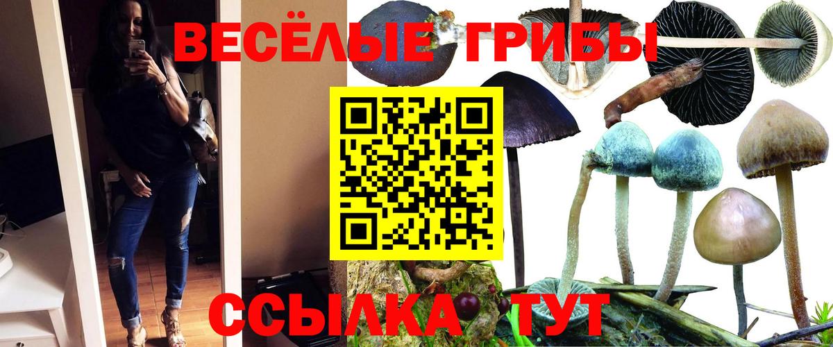Сосновый Бор  купить   Галлюциногенные грибы прущие грибы  Вход с VPN  Галлюциногенные грибы Psilocybe 