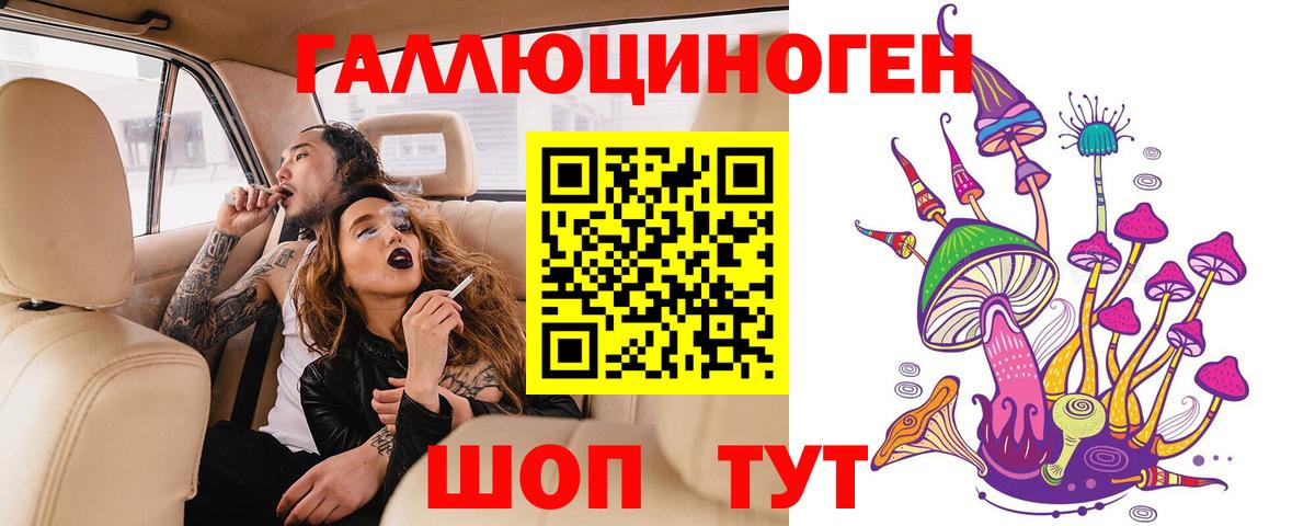 Псилоцибиновые грибы Cubensis Сосновый Бор
